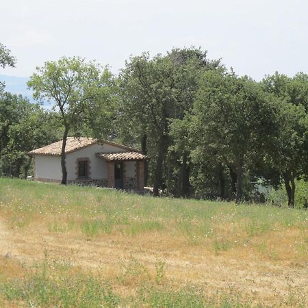 Holiday Home Il Podere Del Lago By Interhome Bolsena Extérieur photo