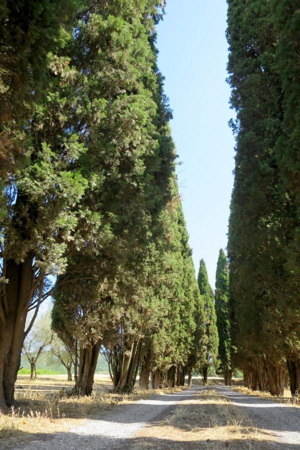 Holiday Home Il Podere Del Lago By Interhome Bolsena Extérieur photo